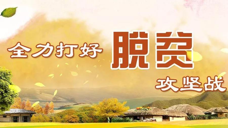 習近平引領“三農”高質量發(fā)展(圖6)